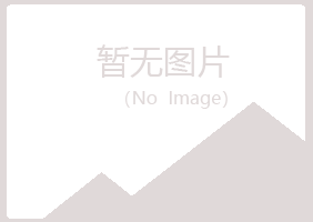 新会紫山建设有限公司